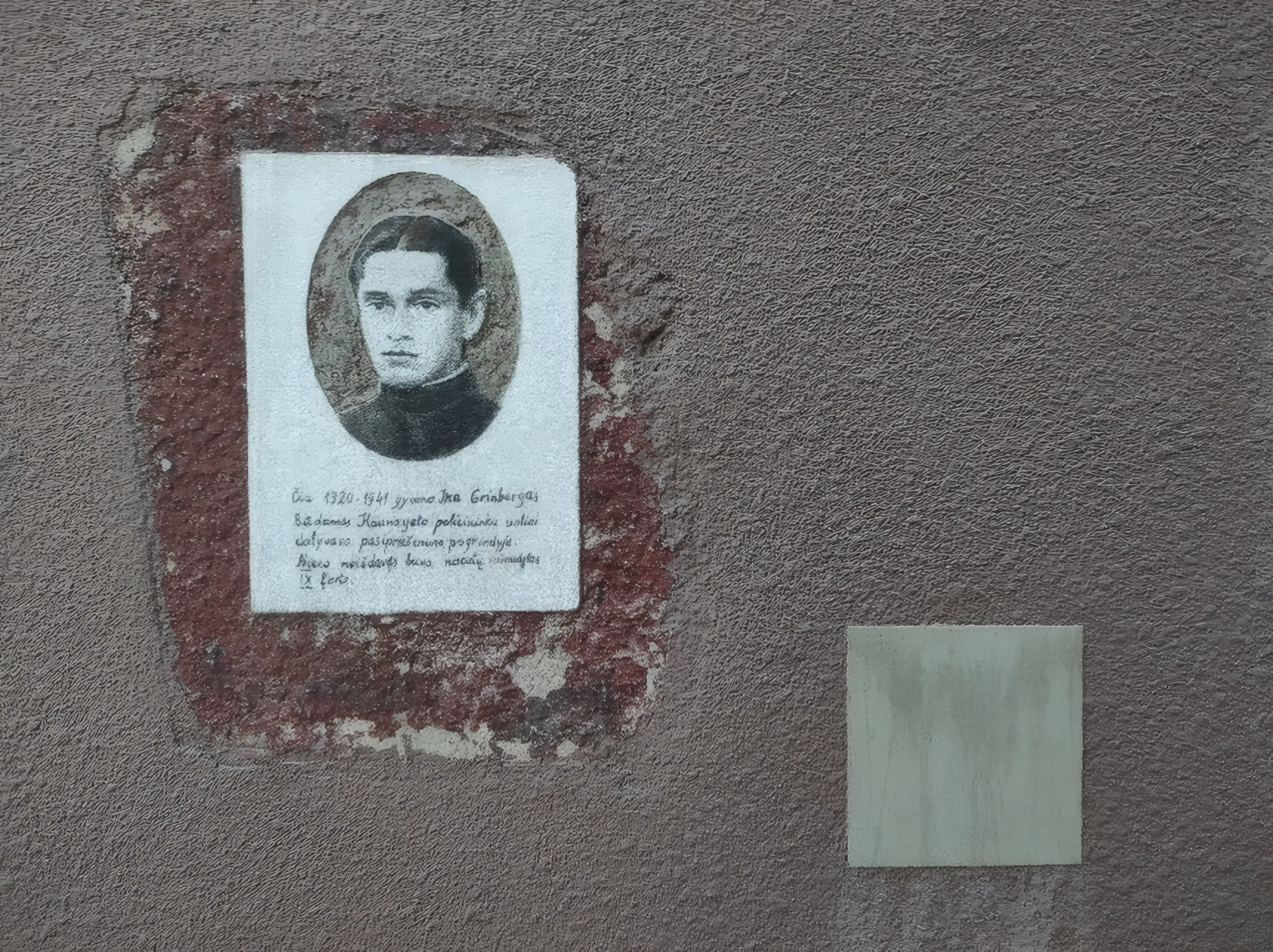 Ikos Grinbergo Portretas (1)